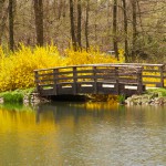 the buck garden in new jersay